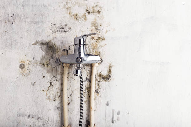 Water Damage Restoration in Montgomery, IN
